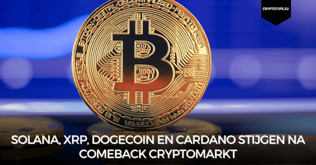 Solana, XRP, Dogecoin en Cardano stijgen na comeback cryptomarkt