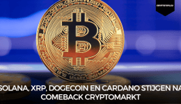 Solana, XRP, Dogecoin en Cardano stijgen na comeback cryptomarkt