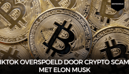 TikTok overspoeld door crypto scams met Elon Musk