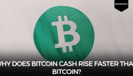 Why does Bitcoin Cash rise faster than Bitcoin?