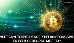 Weet crypto influencer Tiffany Fong wat er echt gebeurde met FTX?