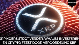 XRP koers stijgt verder, whales investeren en crypto feest door veroordeling SBF