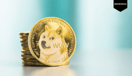 Elon Musk blijft een Dogecoin HODLer