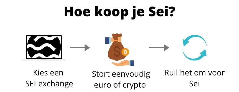 Hoe Sei kopen (infograph)